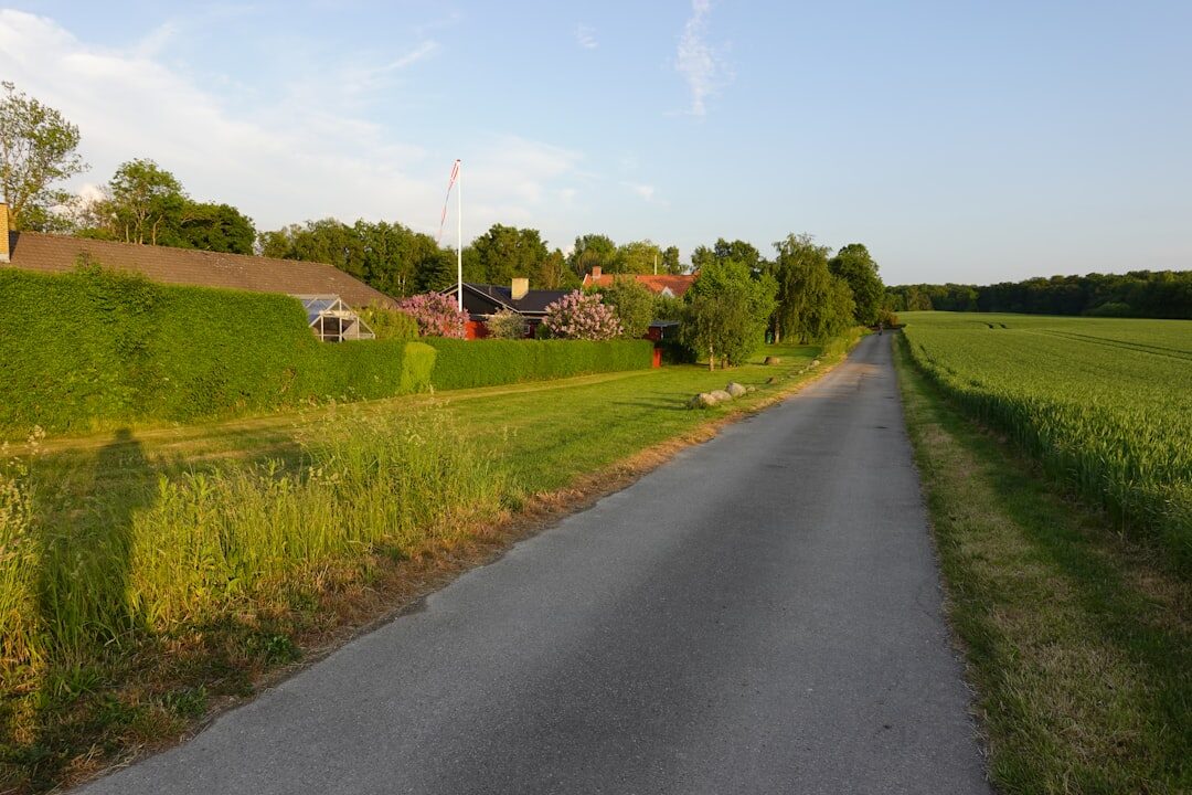 sunset over danish fields