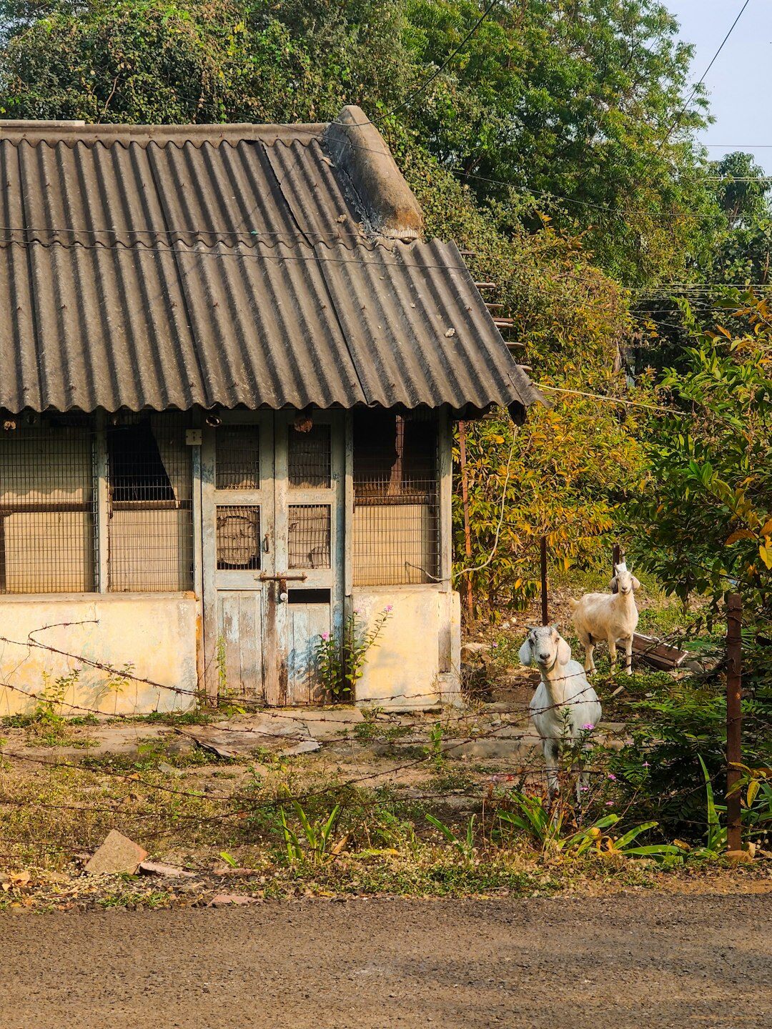 photographer capturing village scene